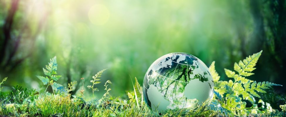 Yaşam Döngüsü Değerlendirmesi (LCA)/ Çevresel Ürün Beyanı (EPD)